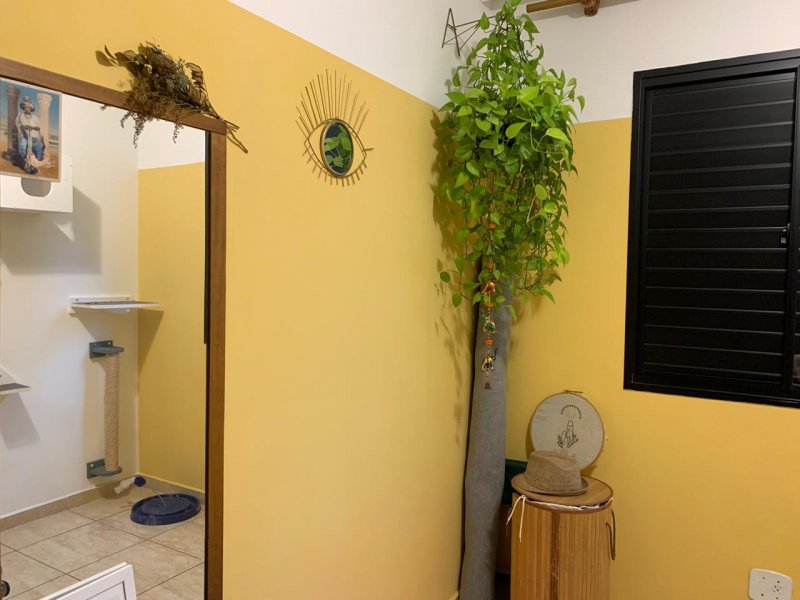 imóvel com 50m² - Vila Palmeiras - São Paulo