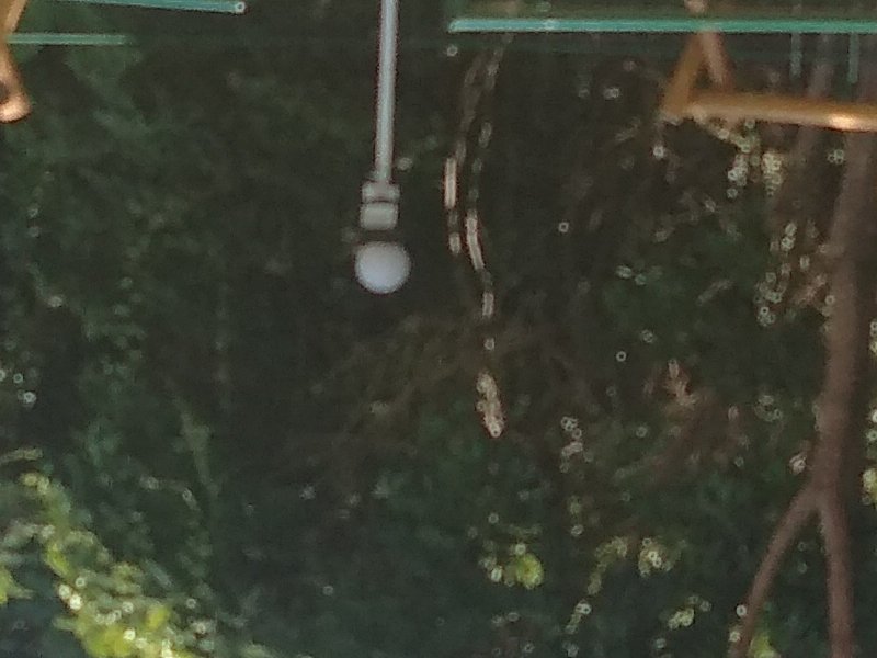 Casa de condomínio à venda Jardim Torino com 70m² e 2 quartos por R$ 350.000 - p-20191117-114413.jpg