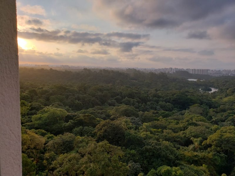 imóvel com 53m² - Vila Moraes - São Paulo