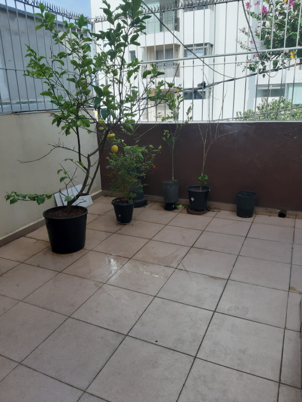 Casa à venda Vila Santa Catarina com 162m² e 5 quartos por R$ 1.100.000 - 1894264346-20230816-104424.jpg