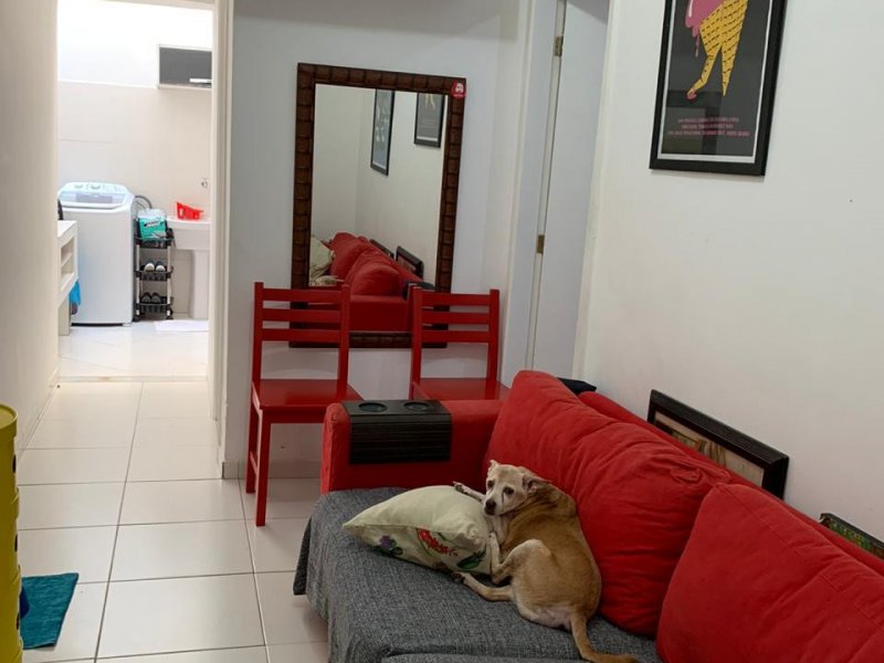 Apartamento à venda Centro com 35m² e 1 quarto por R$ 315.000 - 2056220817-whatsapp-image-2020-08-04-at-18.jpeg