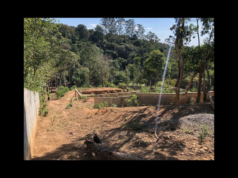 Terreno à venda Palmeiras com 2800m² e  quartos por R$ 200.000 - 208800503-img-4600.jpg