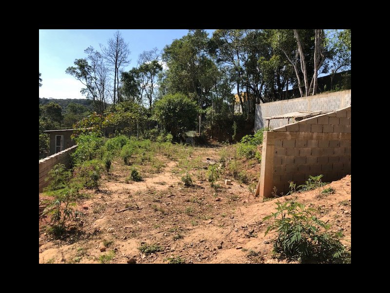 Terreno à venda Palmeiras com 2800m² e  quartos por R$ 200.000 - 597369040-img-4602.jpg