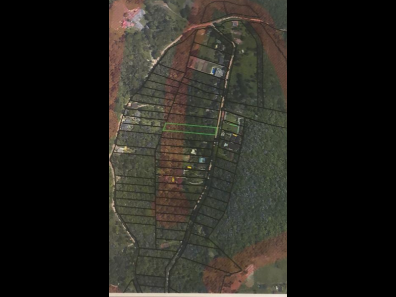 Terreno à venda Palmeiras com 2800m² e  quartos por R$ 200.000 - 6199720-img-4623.PNG