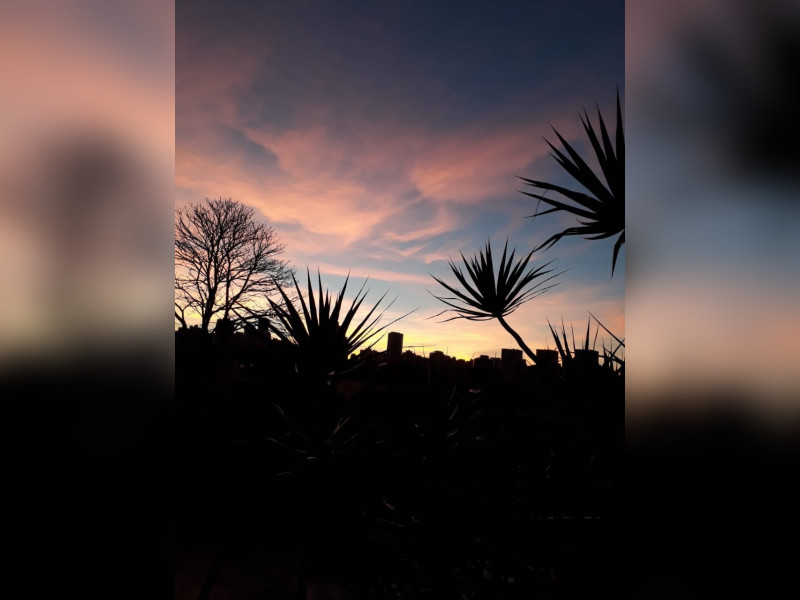 imóvel com 184m² - Bosque da Saúde - São Paulo