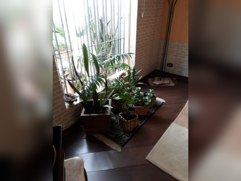 imóvel com 184m² - Bosque da Saúde - São Paulo