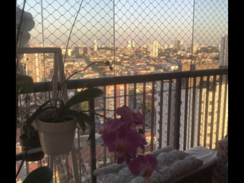 imóvel com 70m² - Vila Regente Feijó - São Paulo