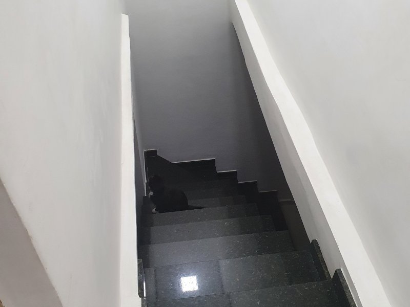 Casa à venda Vila Constança com 100m² e 3 quartos por R$ 550.000 - 1941055358-20200816-102838.jpg