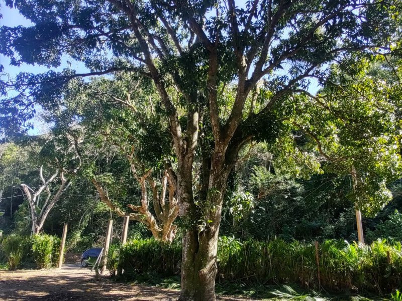 Terreno à venda Barra de Guaratiba com 1406m² e  quartos por R$ 230.000 - 1459737786-9cd14f41-693b-4f98-bf80-c8940883284d.jpg