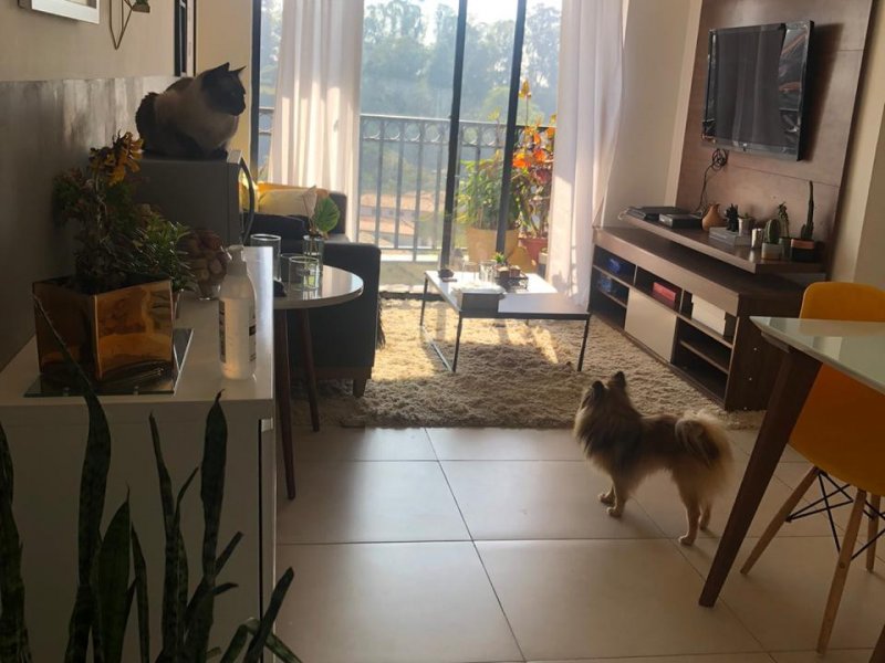 Apartamento à venda Jardim Bonfiglioli com 58m² e 2 quartos por R$ 440.000 - 37241995-apt18.jpeg