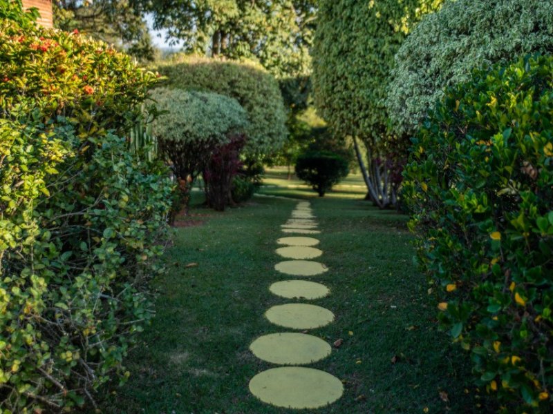 Chácara à venda Chácara Flórida com 6800m² e 6 quartos por R$ 2.800.000 - 1466001323-b38c0d22-cded-467a-b64f-43f12052ab95.jpeg