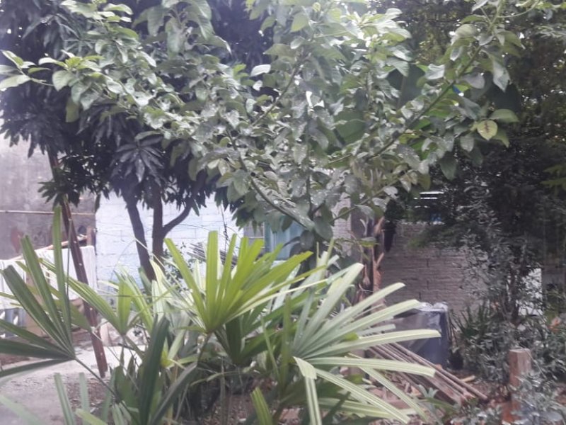 Apartamento à venda Cangaíba com 220m² e 5 quartos por R$ 800.000 - 77596108-img-20200817-wa0014.jpg