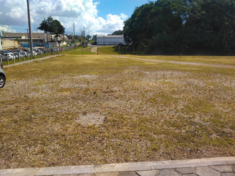 Comercial à venda Colônia Faria com 850m² e  quartos por R$ 1 - 1536935810-img-20190325-140419.jpg