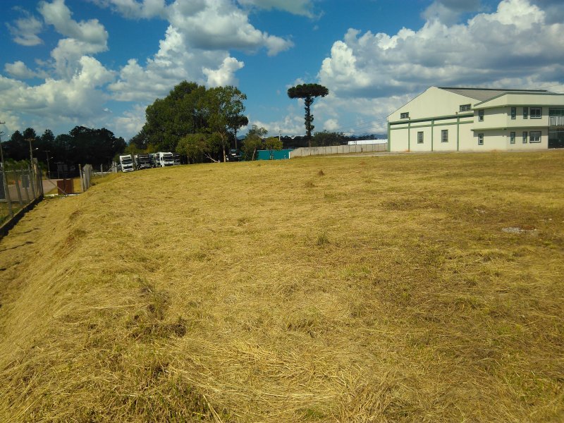 Comercial à venda Colônia Faria com 850m² e  quartos por R$ 1 - 2104534485-img-20190325-140102.jpg