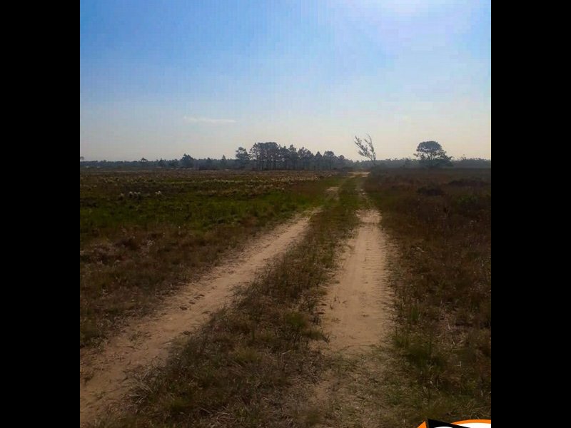 Terreno à venda Lagoinhas com 300m² e  quartos por R$ 20.500 - 1100176911-9d4c6b54-5426-4db2-885e-abd9343102b4.jpg