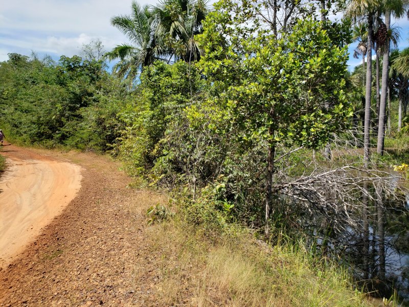 Terreno à venda são miguel com 2500m² e  quartos por R$ 3.500.000 - 1728200462-20200719-110900.jpg