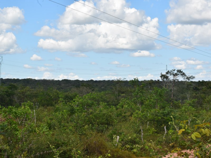 Terreno à venda são miguel com 2500m² e  quartos por R$ 3.500.000 - 479268533-dsc-0016.jpeg