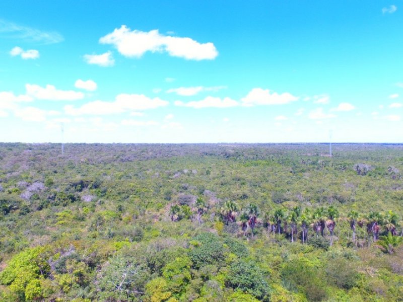 Terreno à venda são miguel com 2500m² e  quartos por R$ 3.500.000 - 527155392-screen-d15191bcd41846e3-1595166768000.jpg