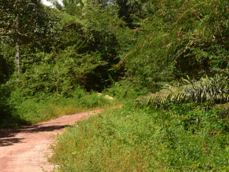 Terreno à venda são miguel com 2500m² e  quartos por R$ 3.500.000 - 60046195-dsc-0031.jpeg
