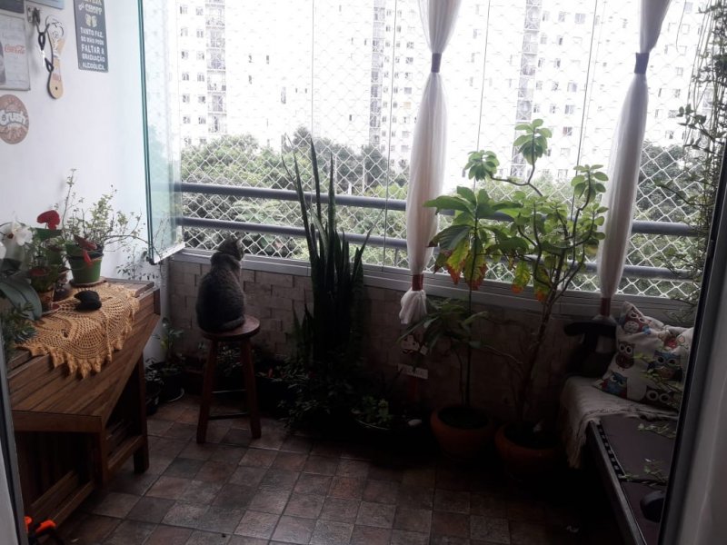 imóvel com 61m² - Cocaia - Guarulhos