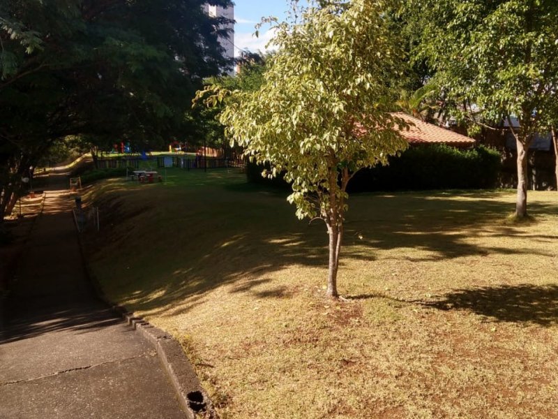imóvel com 61m² - Cocaia - Guarulhos
