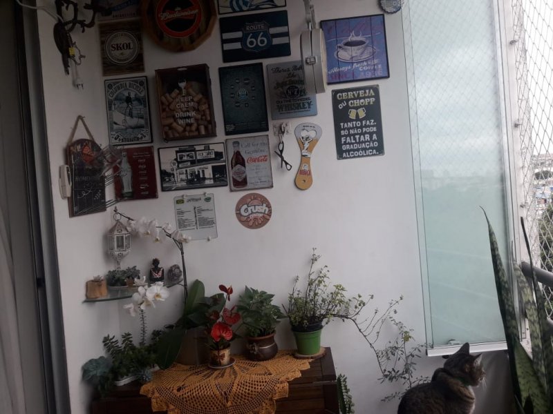 imóvel com 61m² - Cocaia - Guarulhos