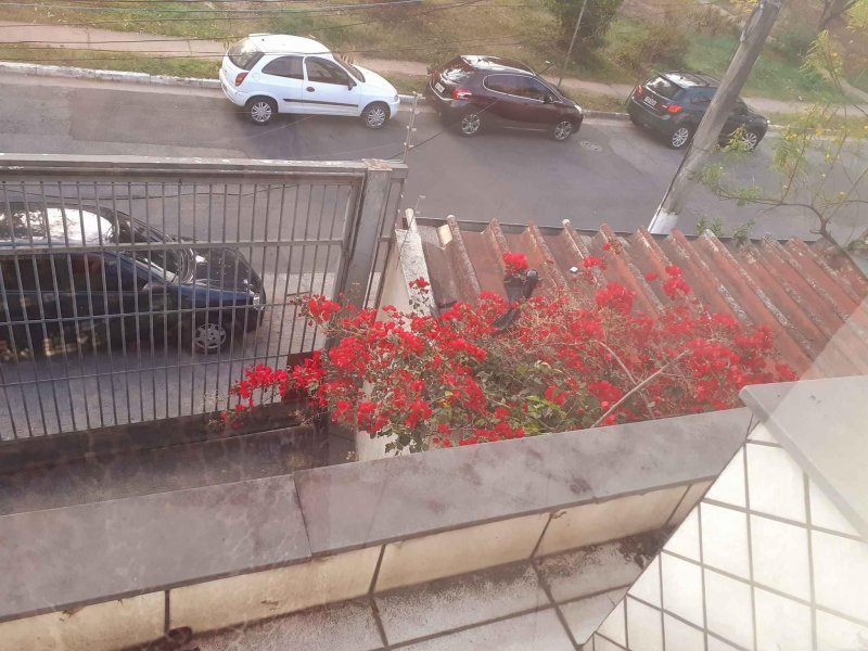 Comercial para alugar Vila Miriam com 230m² e  quartos por R$ 3.900 - 294437115-f0383044-6d08-43db-b230-1c98926040c0.jpeg