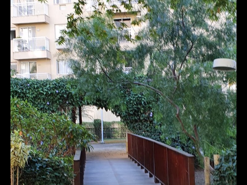 Cobertura à venda Pechincha com 105m² e 2 quartos por R$ 415.000 - 2056918642-paisagismo-c.jpg