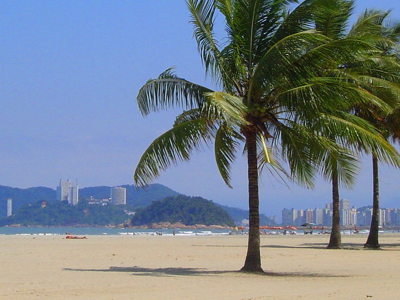 Apartamento para alugar Boqueirão com 53m² e 1 quarto por R$ 2.400 - 513250846-praia-gonzaga-santos-por-sergio-lombardi.jpg