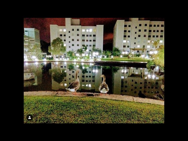 imóvel com 46m² - Pinheirinho - Curitiba