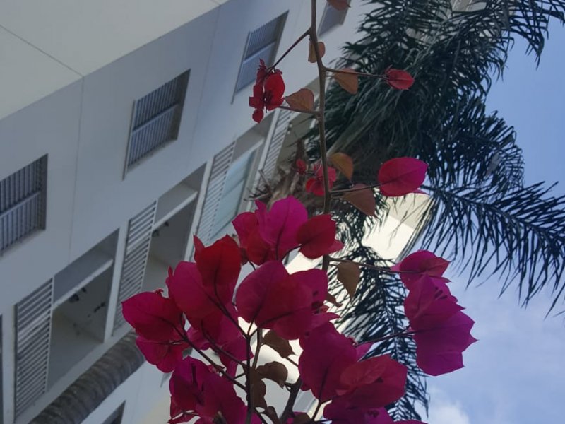 imóvel com 50m² - Jardim Belém - São Paulo