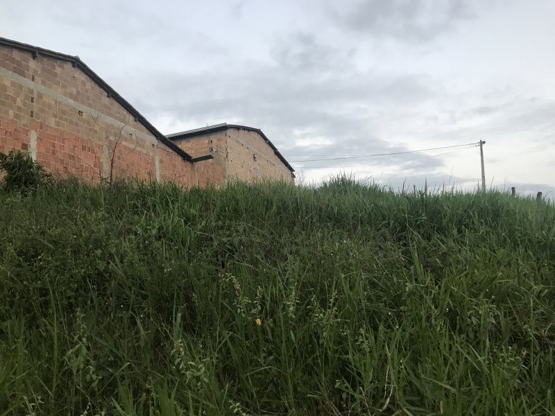 Terreno à venda Cristo redentor  com 14m² e  quartos por R$ 15.000 - 927120417-5c0f2c4c-4428-4e0a-97f9-6b9e51fde0fb.jpeg
