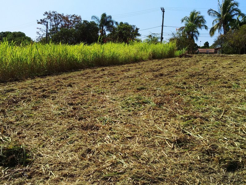 Terreno à venda Jardim Renascença com 2500m² e  quartos por R$ 580.000 - 422132899-img-20200813-112806.jpg