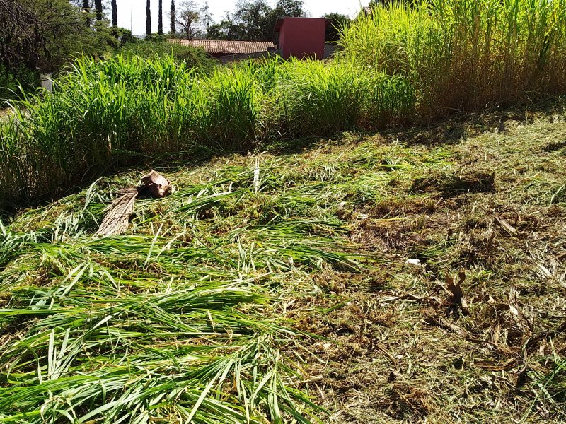 Terreno à venda Jardim Renascença com 2500m² e  quartos por R$ 580.000 - 749824182-img-20200813-112829.jpg