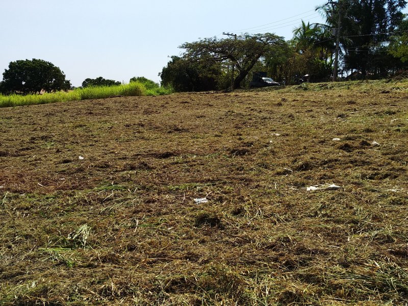 Terreno à venda Jardim Renascença com 2500m² e  quartos por R$ 580.000 - 764776969-img-20200813-112946.jpg