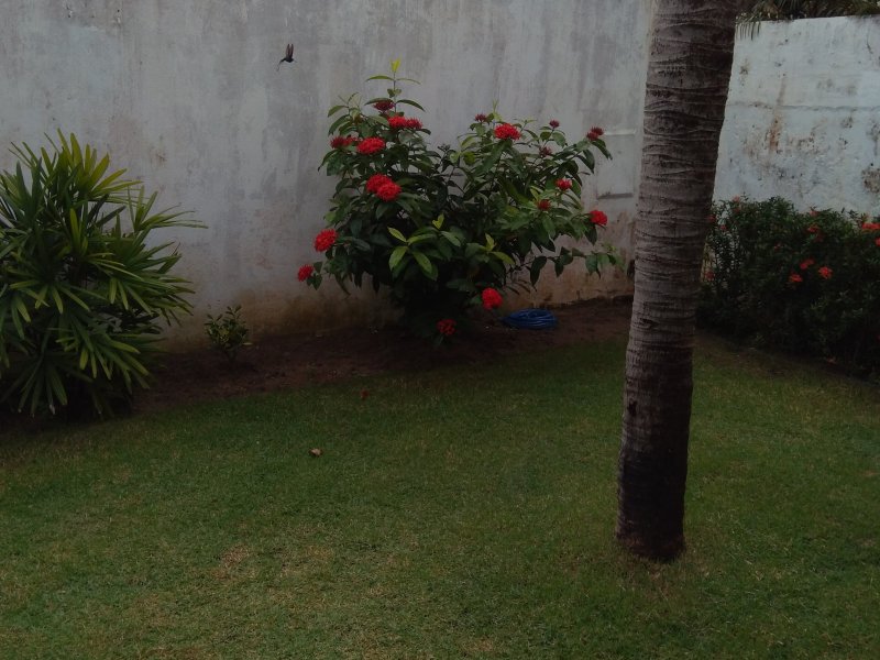 Casa de condomínio à venda vila de abrantes com 330m² e 5 quartos por R$ 750.000 - 328156447-p-20200726-143025-p.jpg