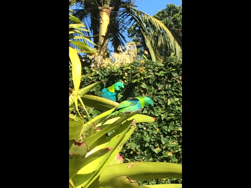 imóvel com 170m² - Praia de Maresias - São Sebastião