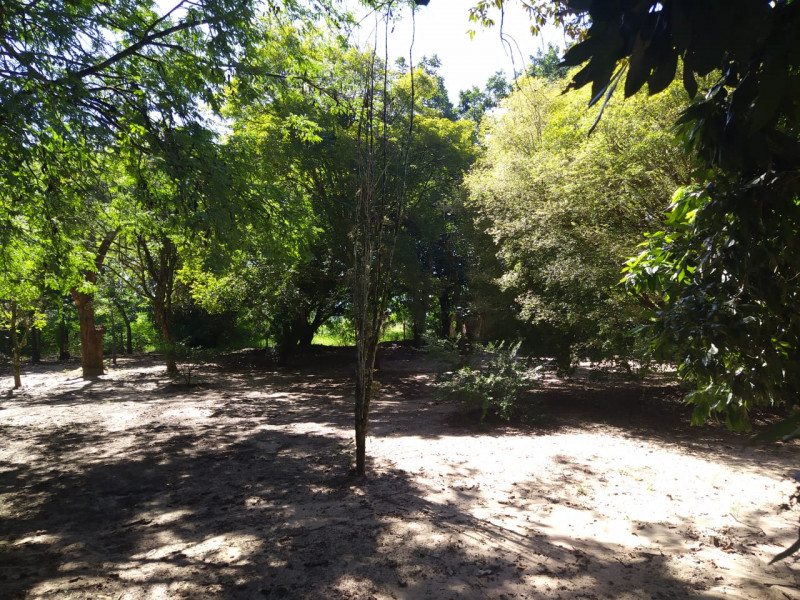 Chácara à venda Santa Cruz com 2275m² e 3 quartos por R$ 580.000 - 1798006149-img-20230307-wa0019.jpg