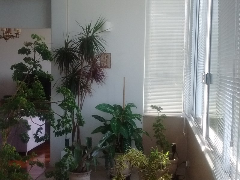 imóvel com 110m² - santa teresa - Rio de Janeiro