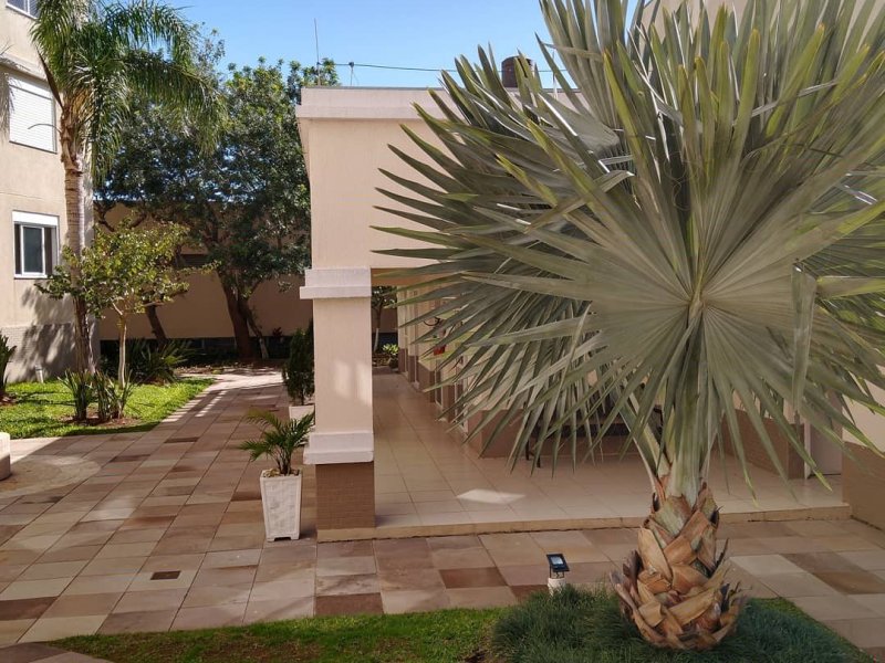 Apartamento à venda Nossa Senhora das Gracas com 62m² e 2 quartos por R$ 395.000 - 1138543945-img-20200805-180624-203.jpg