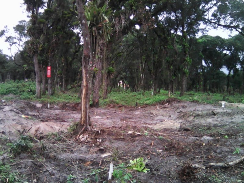 Terreno à venda Balneário Currais com 360m² e  quartos por R$ 60.000 - 1688206309-currais-1.jpg