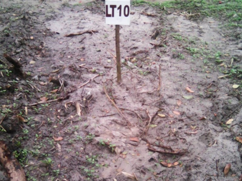 Terreno à venda Balneário Currais com 360m² e  quartos por R$ 60.000 - 307906108-currais-2.jpg