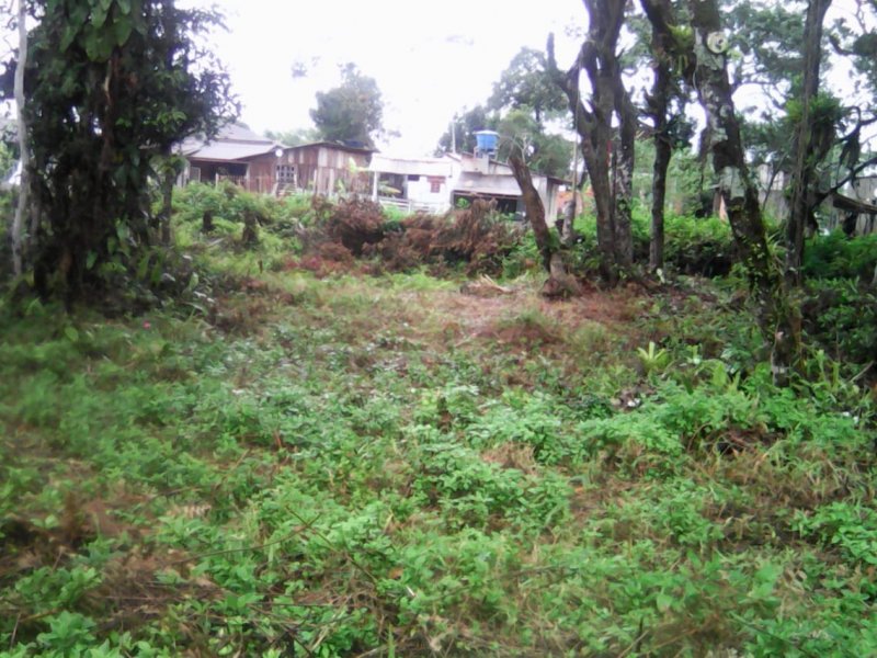 Terreno à venda Balneário Currais com 360m² e  quartos por R$ 60.000 - 423314353-currais-4.jpg