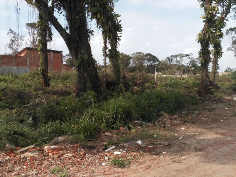 Terreno à venda Balneário Currais com 360m² e  quartos por R$ 60.000 - 562502949-currais-7.jpg