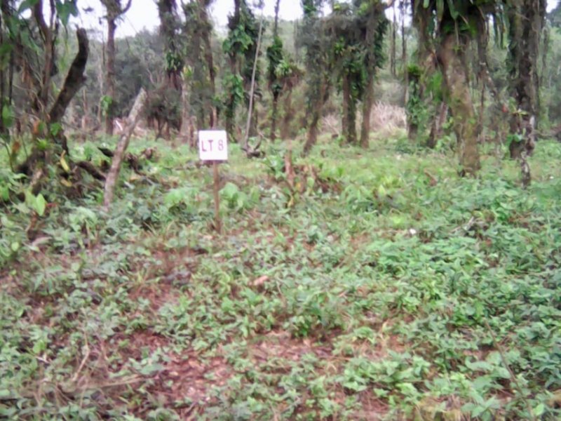 Terreno à venda Balneário Currais com 360m² e  quartos por R$ 60.000 - 971227581-currais-3.jpg