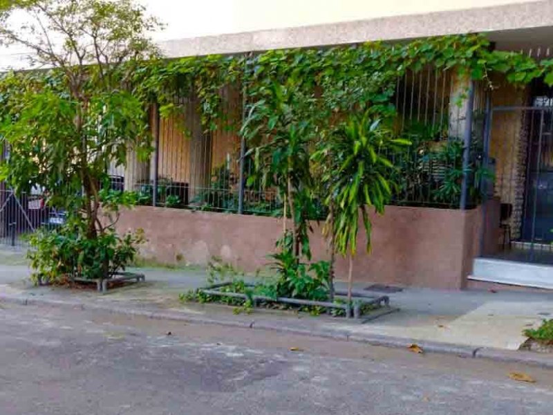 Apartamento à venda Gloria com 48m² e 2 quartos por R$ 450.000 - 85201234-whatsapp-image-2020-08-23-at-16.jpeg