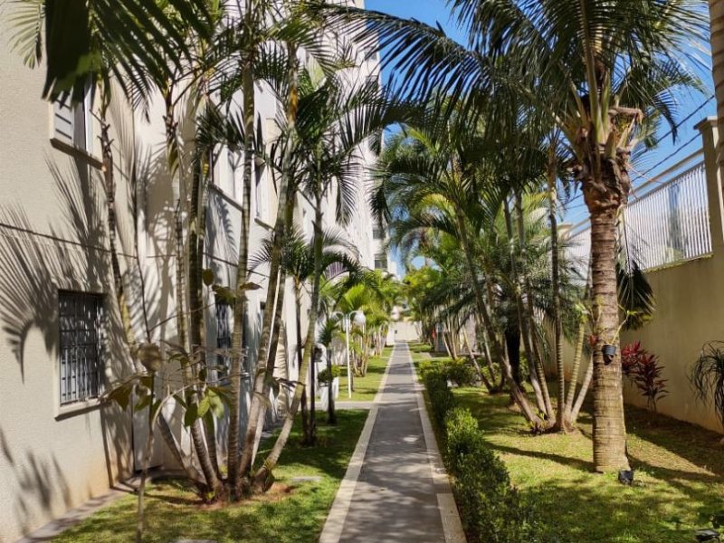 Apartamento à venda Cidade Líder com 56m² e 3 quartos por R$ 205.000 - 987003490-87e2ef2d-74db-46ac-9e7d-753139868c98.jpg