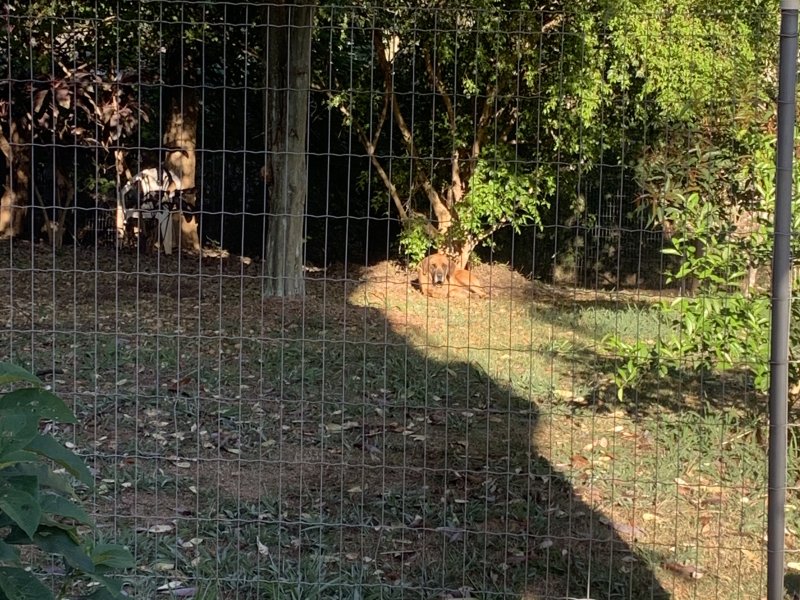 Chácara à venda Jardim Rancho Alegre com 1500m² e 5 quartos por R$ 2.500.000 - 1224041034-img-2320.JPG
