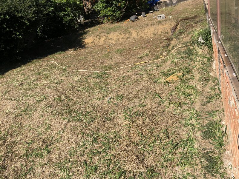 Casa à venda Ano Bom/ St Rosa com 280m² e 3 quartos por R$ 1.450.000 - 1998010771-5109b982-49d0-4cbf-a6d8-b680cba3f191.jpeg