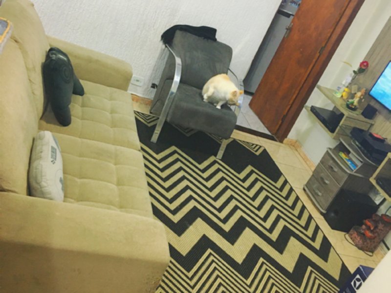 Apartamento à venda Vl. Rosália com 55m² e 2 quartos por R$ 215.900 - 1945600576-5ac9999f-650d-4107-b091-2417e20de1ac.jpeg
